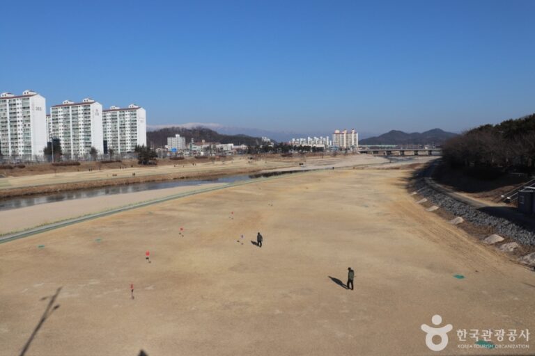 [경북] 서천둔치(영주)