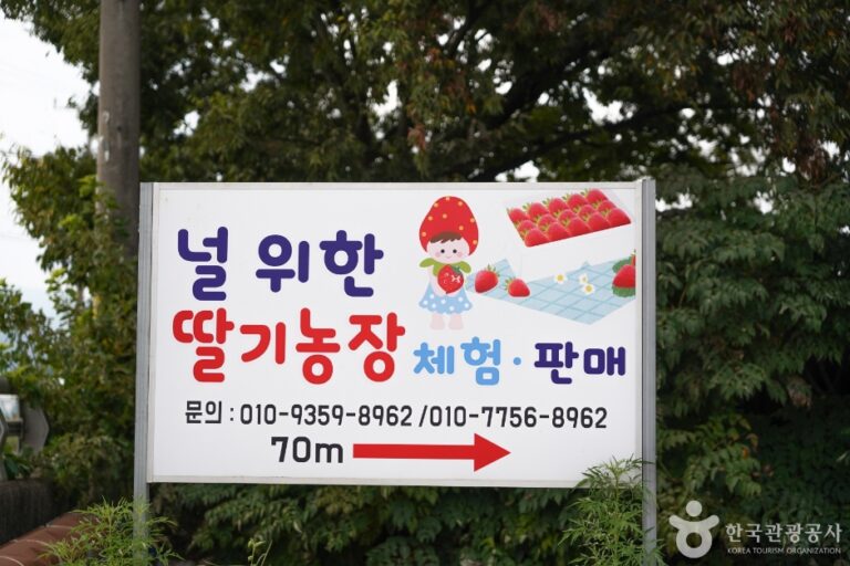 [경북] 널위한딸기농장