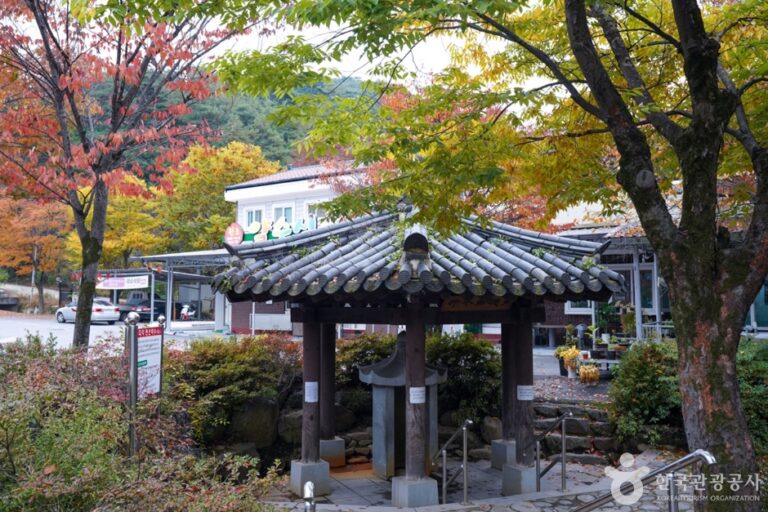 [경북] 다덕약수탕