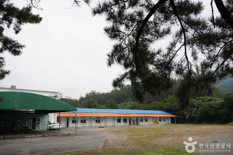 [경북] 임실치즈학교 경주체험장