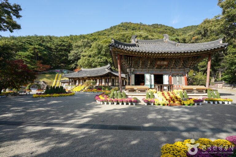 [경북] 도리사(구미)