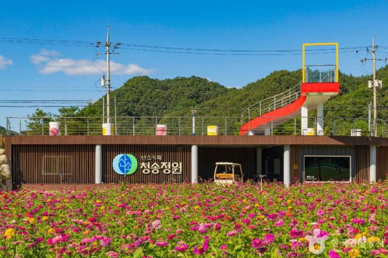 [경북] 산소카페 청송정원