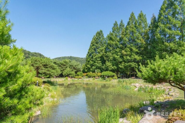 [경북] 직지문화공원