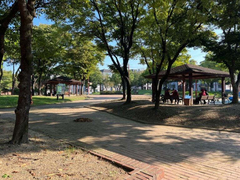 [경북] 경산 임당동과 조영동 고분군