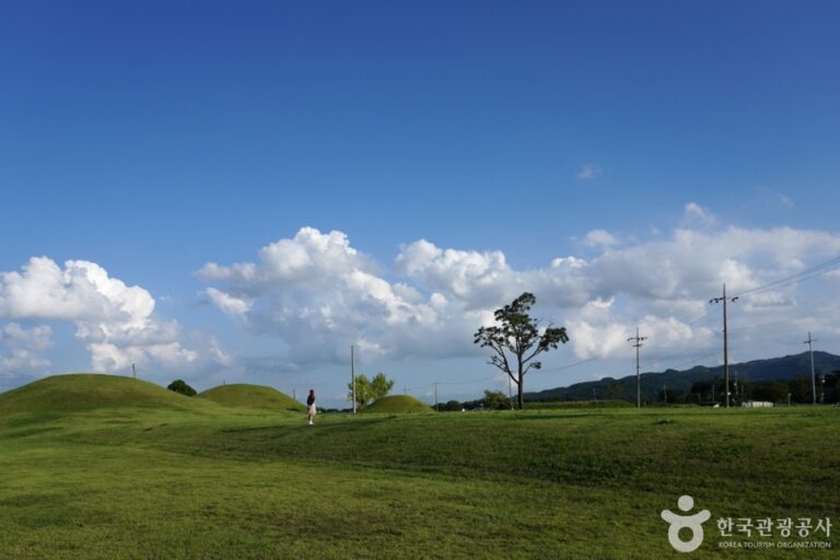 [경북] 쪽샘지구