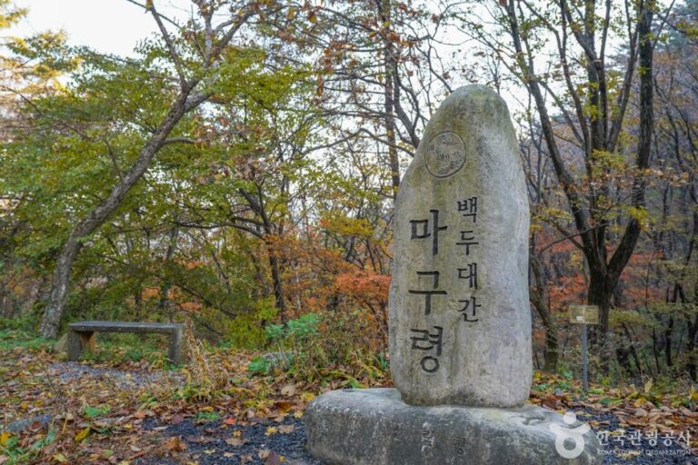 [경북] 마구령·고치령