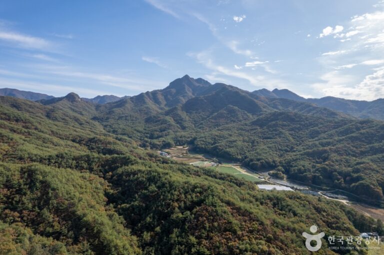 [경북] 대야산