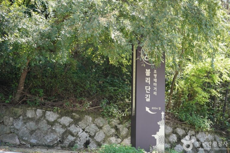 [경북] 불리단길