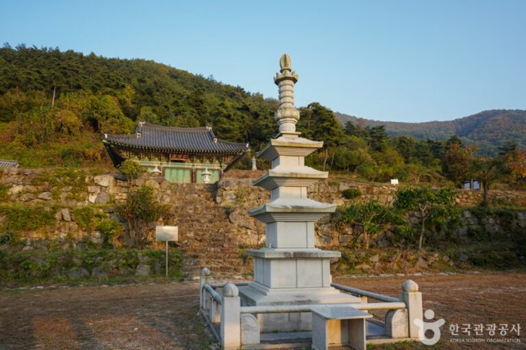 [경북] 반룡사(경산)