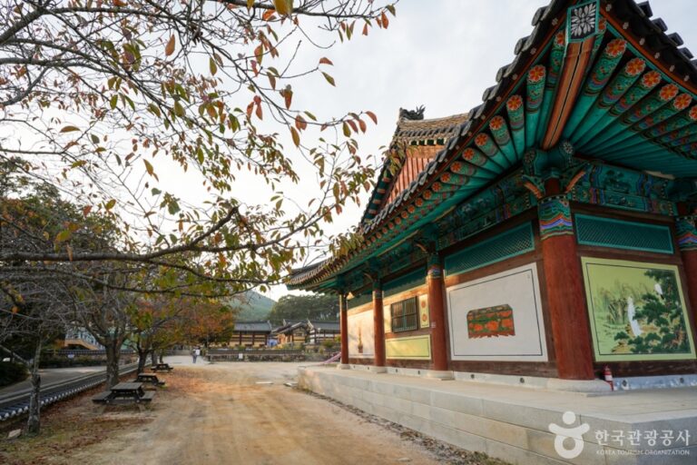 [경북] 은해사(영천)