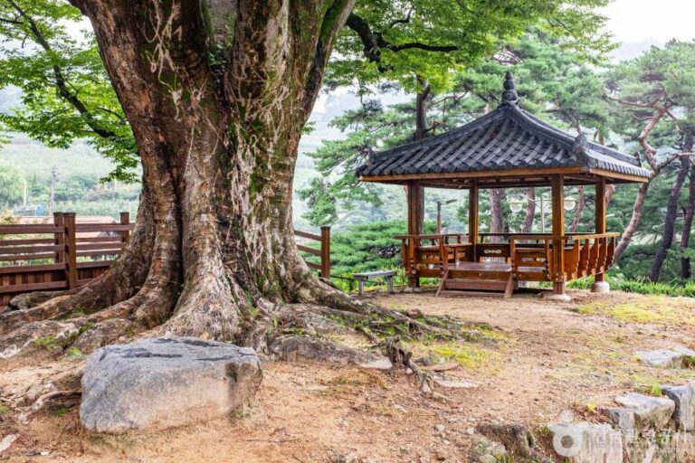 [경북] 영주 솔향기마을