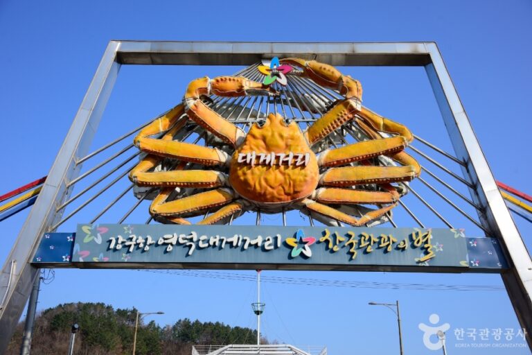 [경북] 영덕대게보존마을