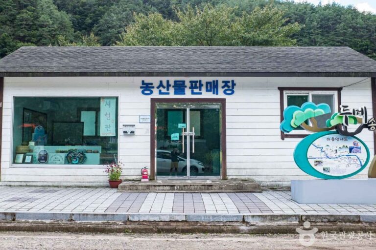 [경북] 영양 두메송하마을