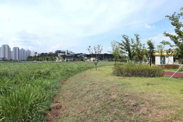 [경북] 감못(부지)