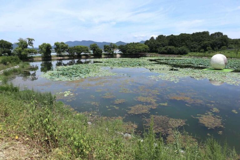[경북] 자라지