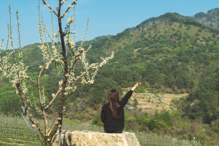 [경북] 소백명품서클