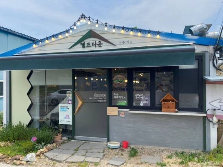 [경북] 캠프다운