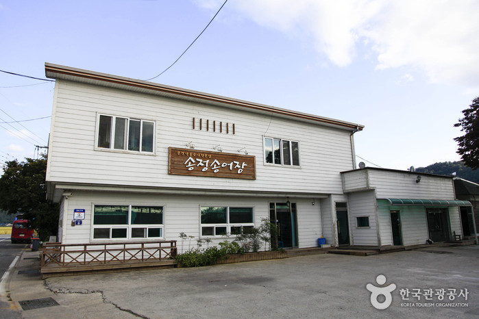 [경북] 송정송어장