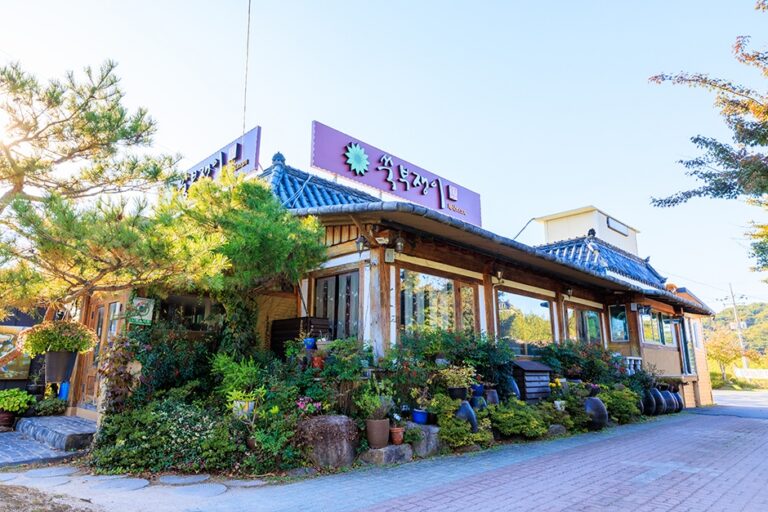 [경북] 쑥부쟁이