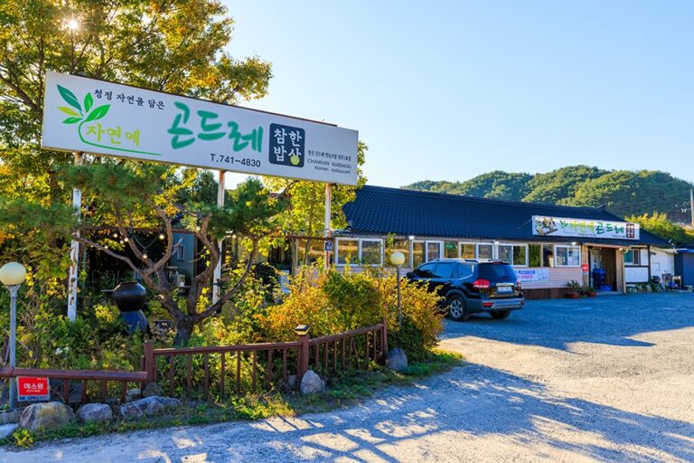 [경북] 자연애곤드레