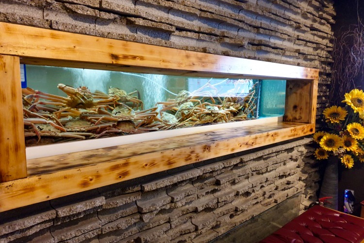 [경북] 돌고래횟집