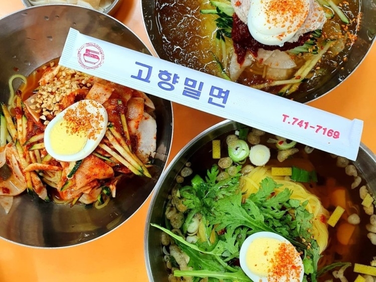 [경북] 고향밀면 본점