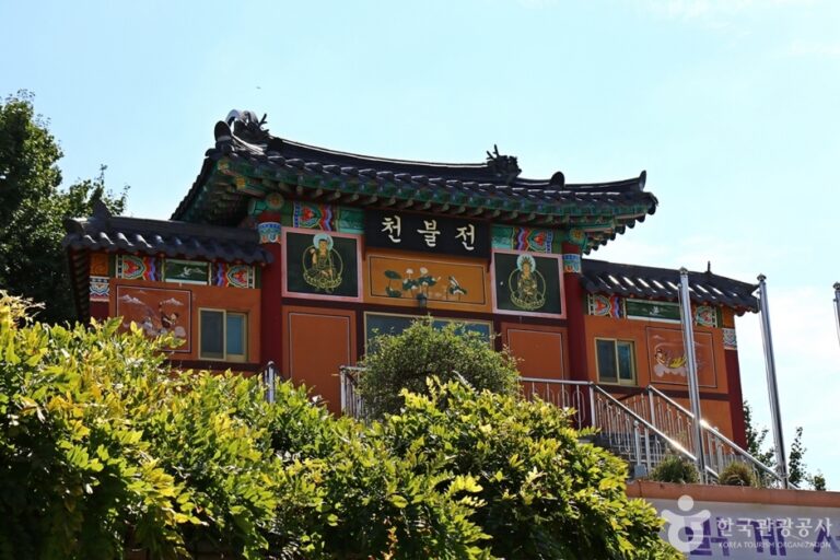 [대구] 석가사(대구)