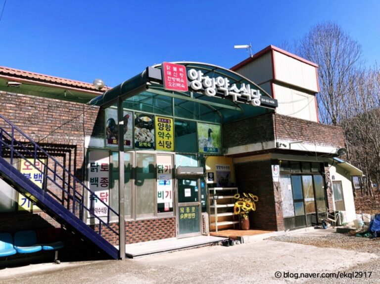 [경북] 양항약수식당