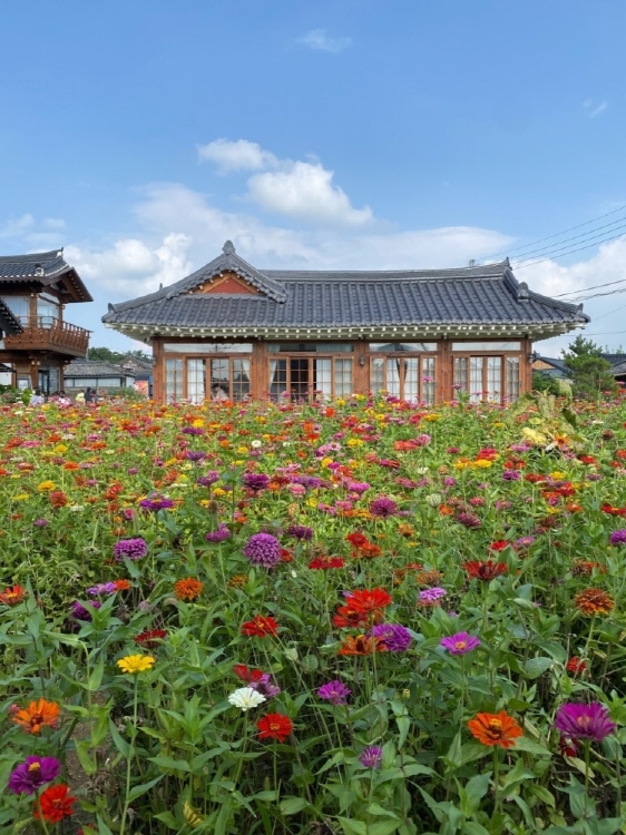 [경북] 카페 마르쉐