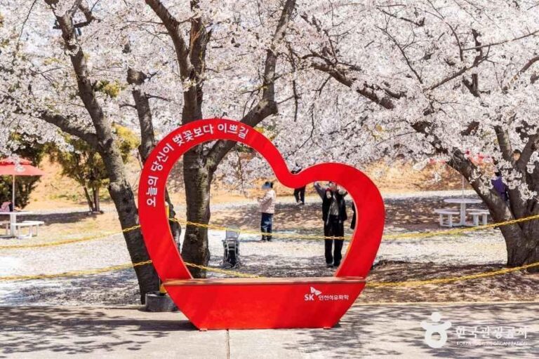 [인천] SK인천석유화학벚꽃동산