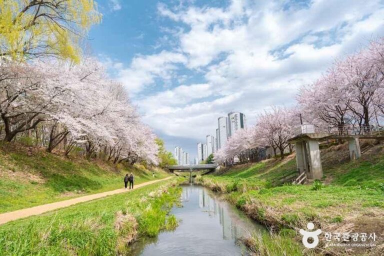 [인천] 반월놀이공원