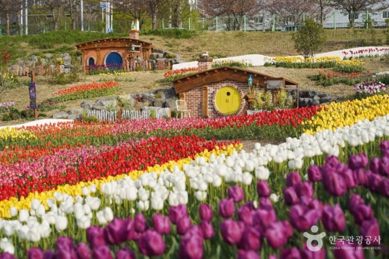 [대구] 대구 세천늪테마정원