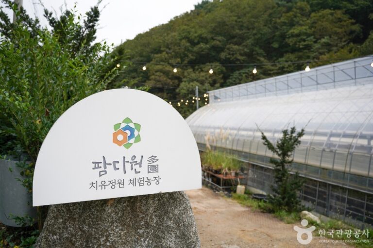 [대구] 팜다원