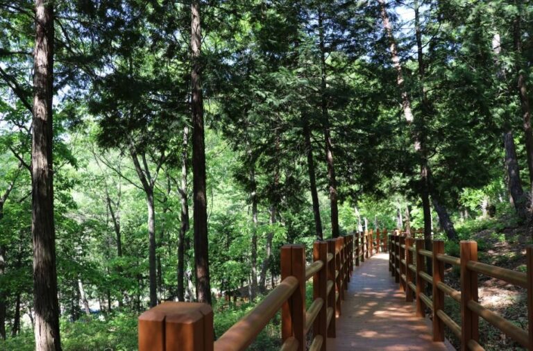 [울산] 국립대운산치유의숲