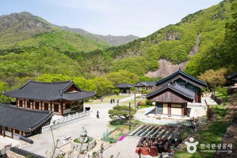 [충북] 반야사(영동)