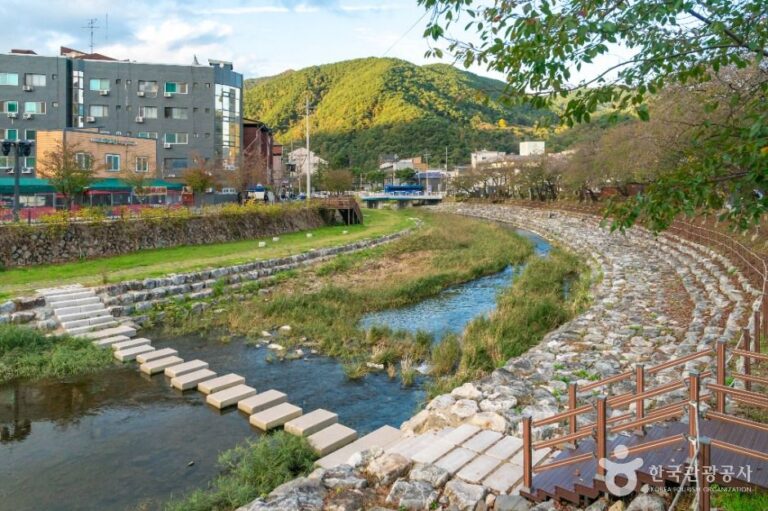 [충북] 수안보온천 관광특구
