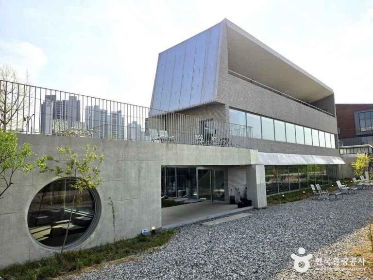 [충남] 루티니아