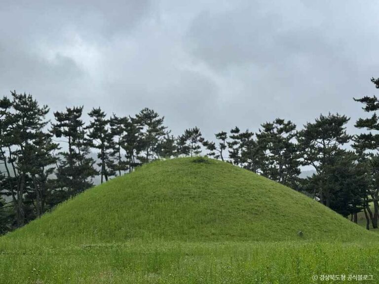 [경북] 경주 무열왕릉·태종무열왕릉비