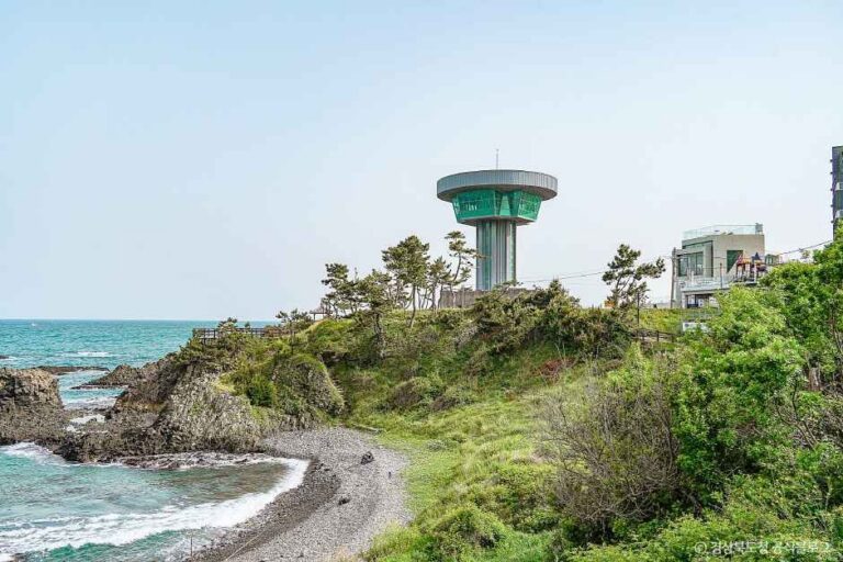 [경북] 경주 양남 주상절리 전망대