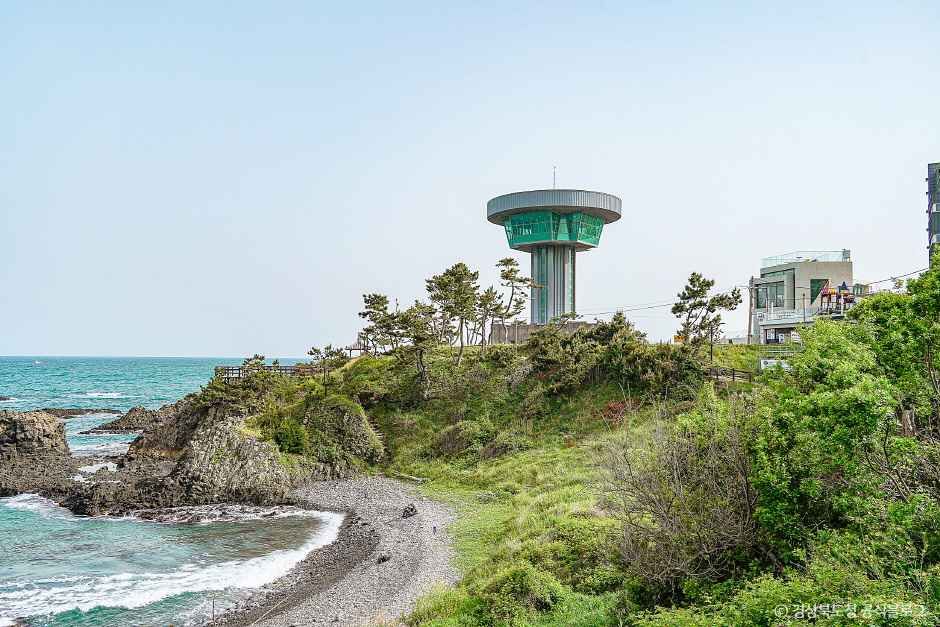 [경북] 경주 양남 주상절리 전망대