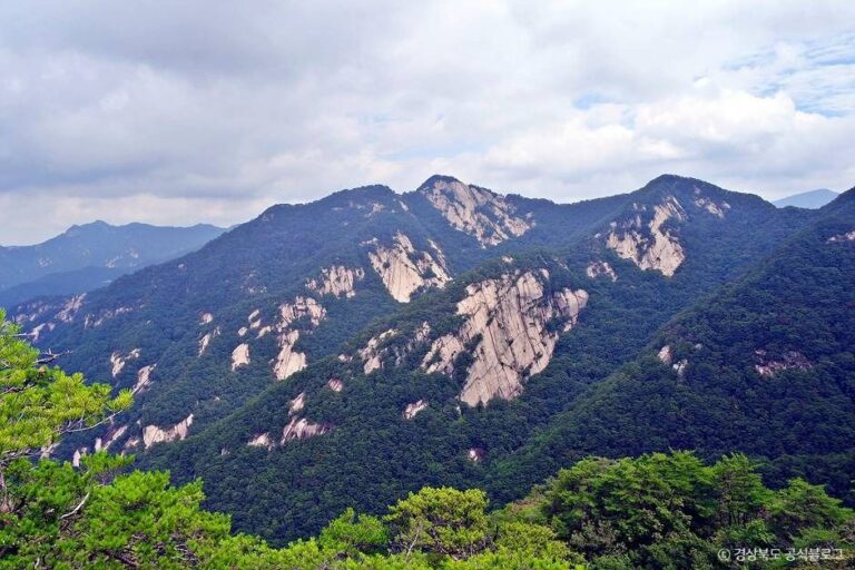 [경북] 조령산