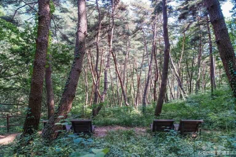 [경남] 오도산자연휴양림
