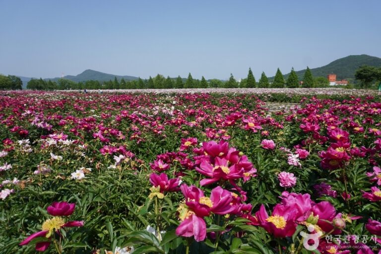 [경남] 핫들생태공원