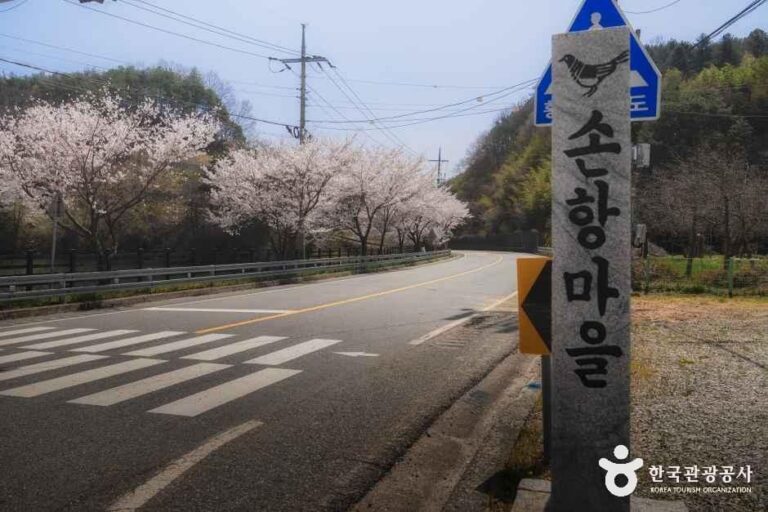 [경남] 손항마을