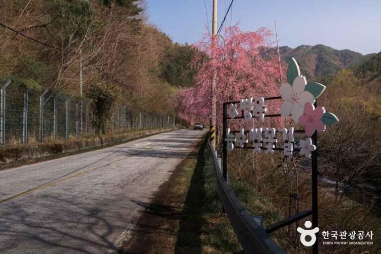 [경남] 병곡마을