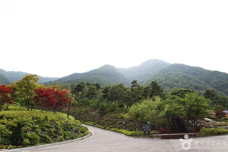 [경남] 동의보감촌한방자연휴양림