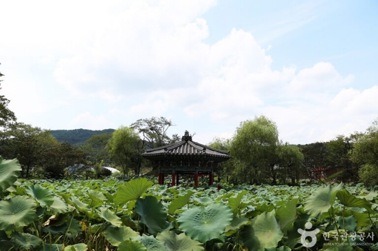 [경남] 용호정원