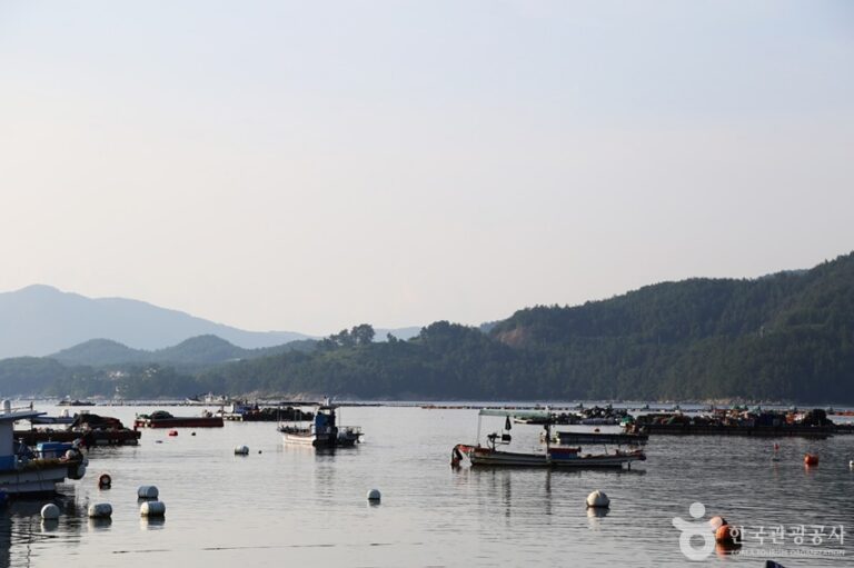 [경남] 남해금천갯벌체험장