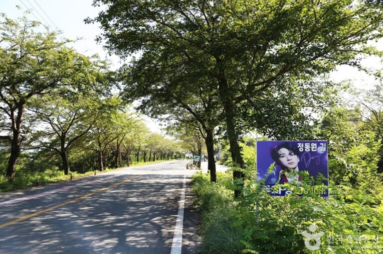 [경남] 정동원길