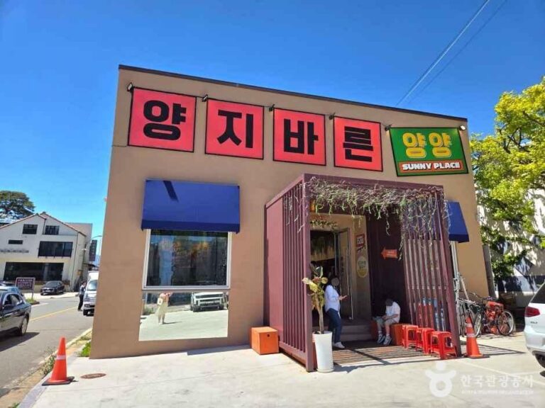 [강원] 양지바른 버거 & 쌀국수 본점